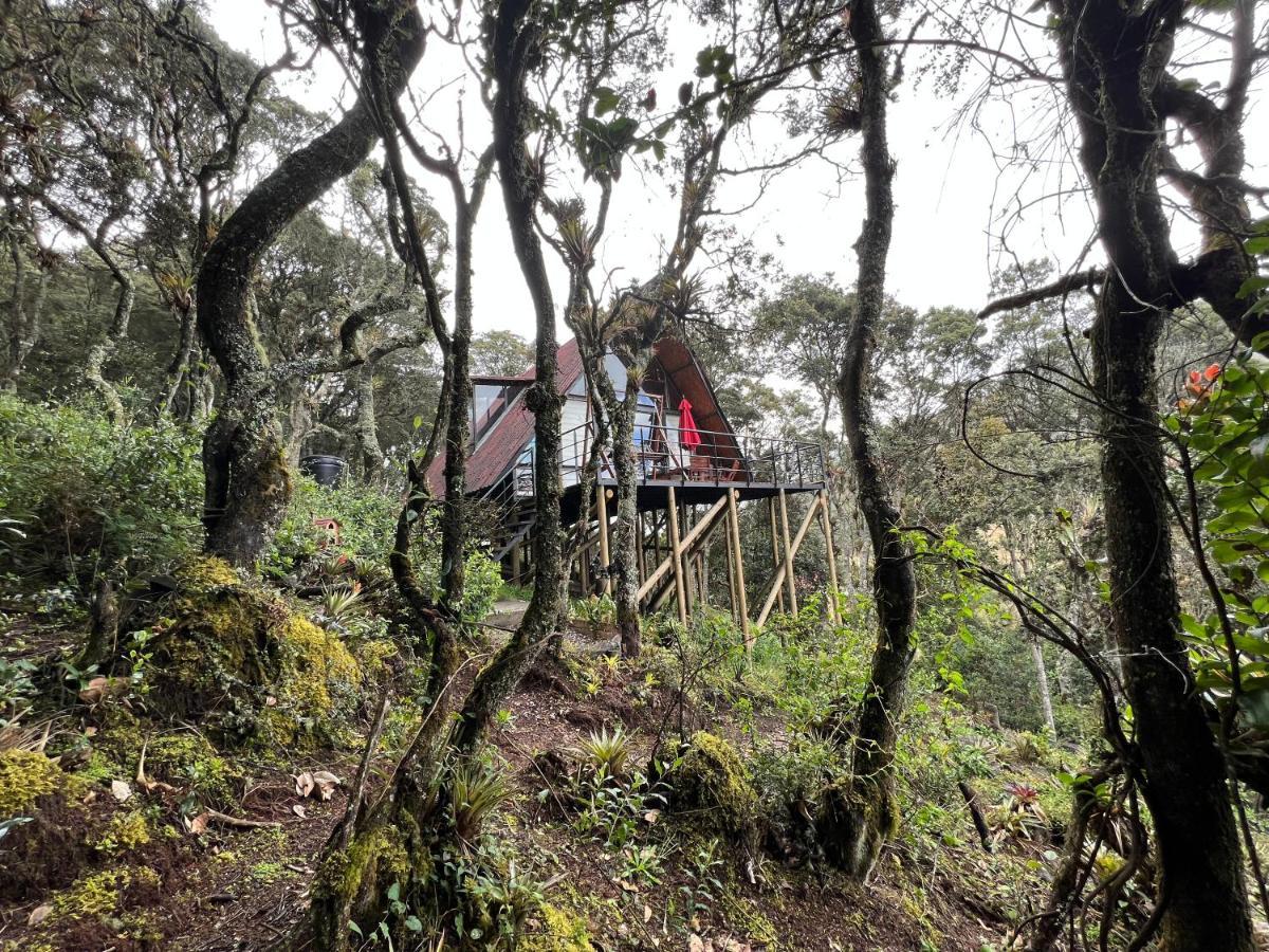 Mirador Bosque Gran Torino Neusa Cogua Exterior photo